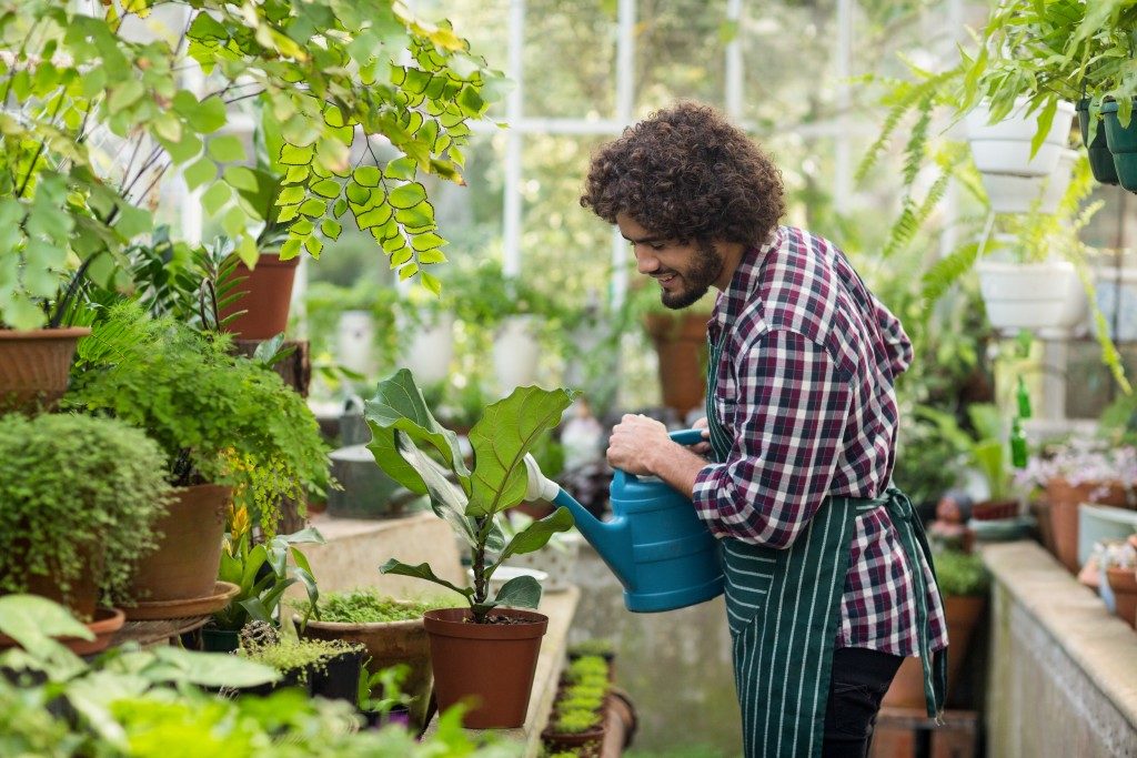 Man watering a plant while in the garden