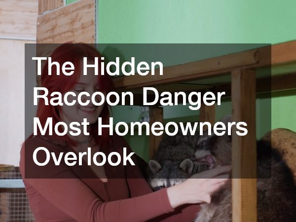 The Hidden Raccoon Danger Most Homeowners Overlook