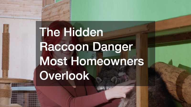 The Hidden Raccoon Danger Most Homeowners Overlook